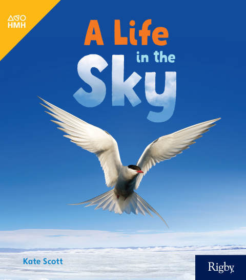 Cover image for book A Life in the Sky
