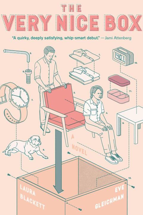 Cover image for book The Very Nice Box
