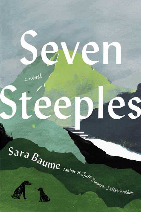 Cover image for book Seven Steeples