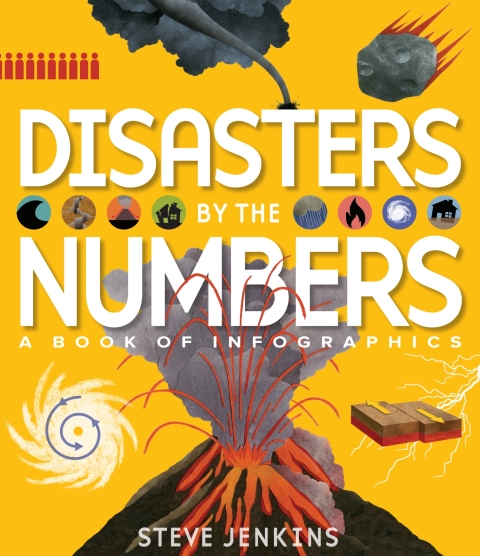 Cover image for book Disasters by the Numbers