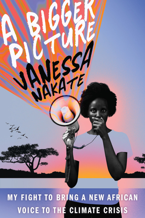 Cover image for book A Bigger Picture