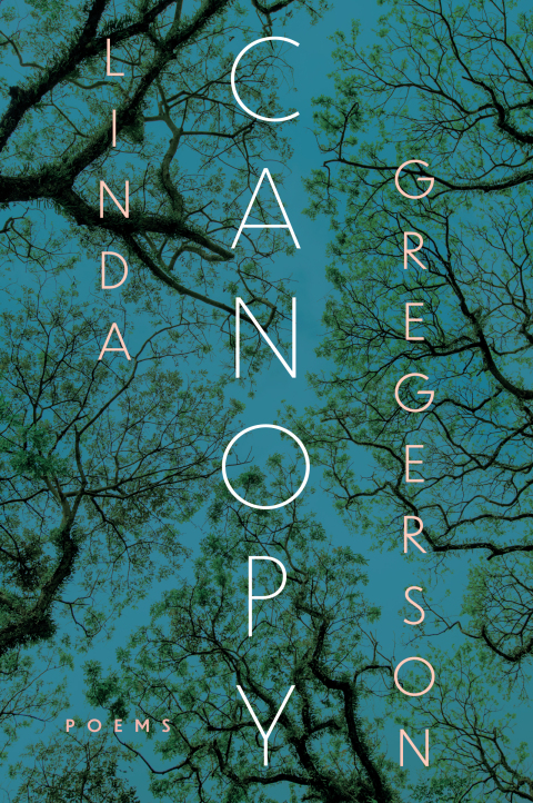 Cover image for book Canopy