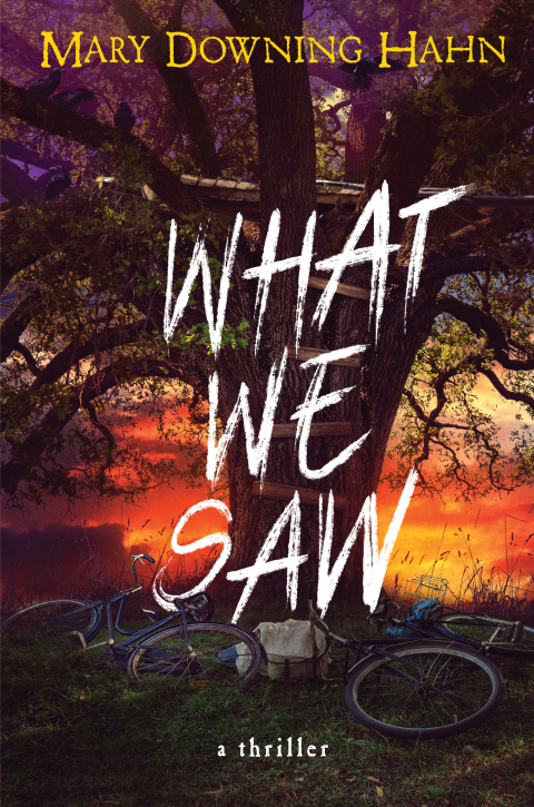 Cover image for book What We Saw