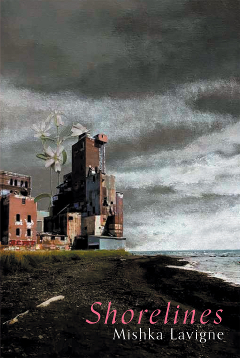 Cover image for book Shorelines