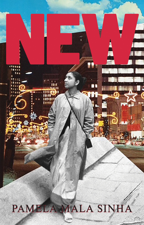 Cover image for book New