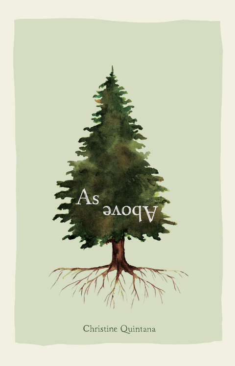 Cover image for book As Above