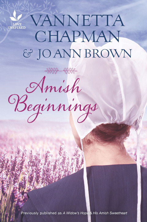 Cover image for book Amish Beginnings