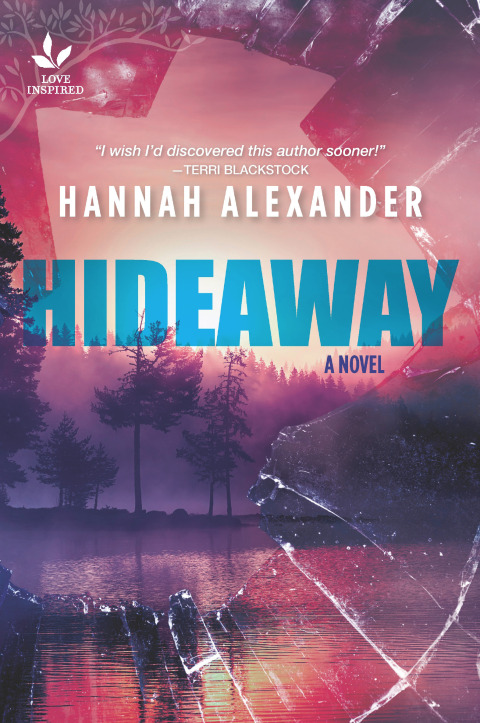 Cover image for book Hideaway