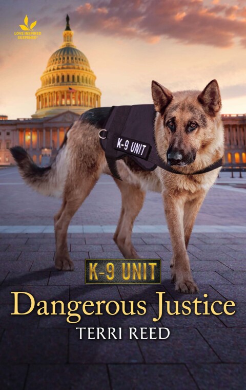 Cover image for book Dangerous Justice