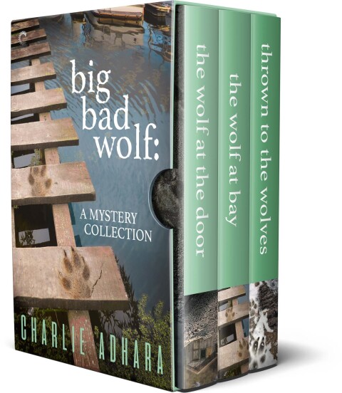 Cover image for book Big Bad Wolf Collection