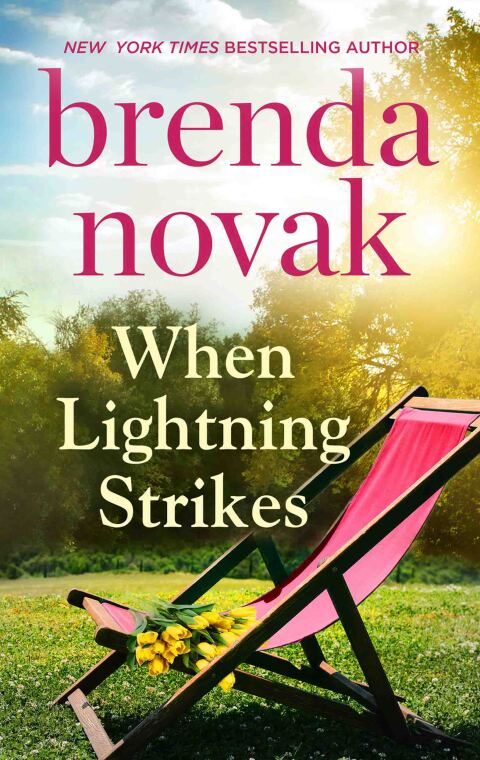 Cover image for book When Lightning Strikes