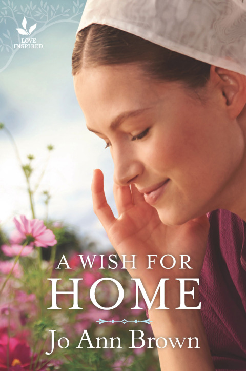 Cover image for book A Wish for Home