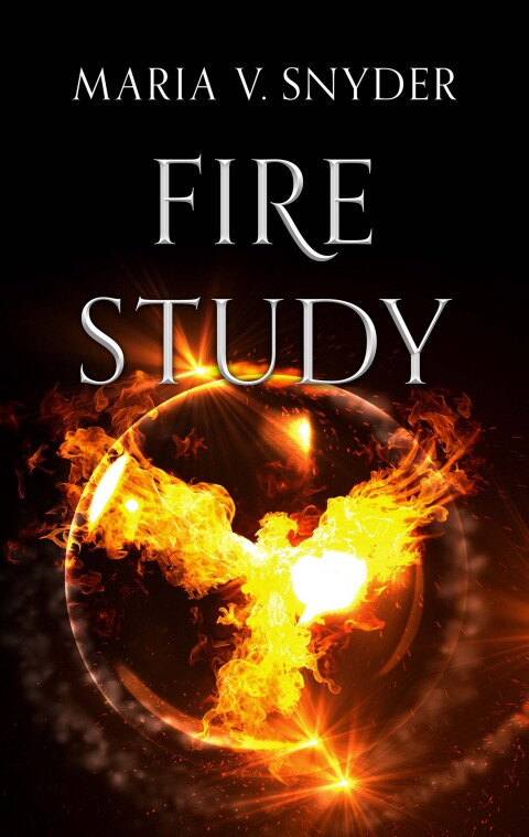 Cover image for book Fire Study