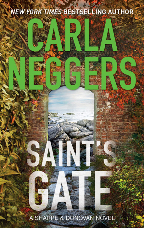 Cover image for book Saint's Gate
