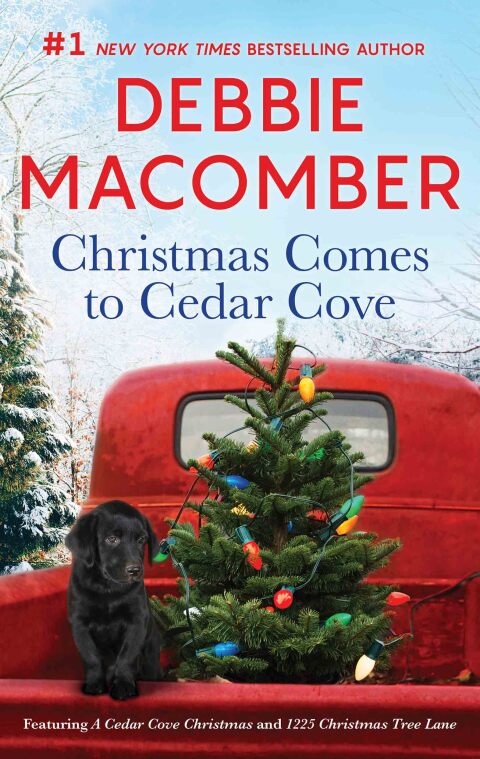 Cover image for book Christmas Comes to Cedar Cove