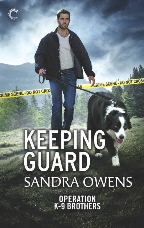 Cover image for book Keeping Guard