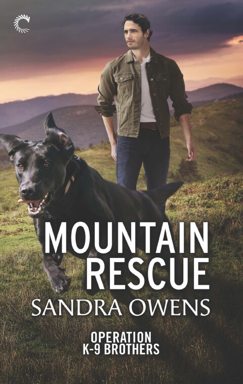 Cover image for book Mountain Rescue