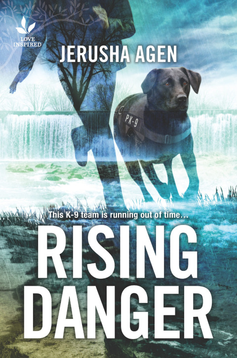 Cover image for book Rising Danger