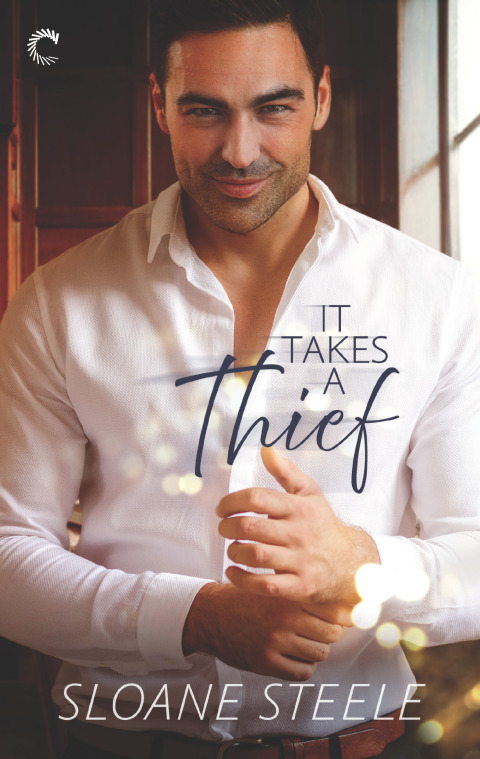 Cover image for book It Takes a Thief