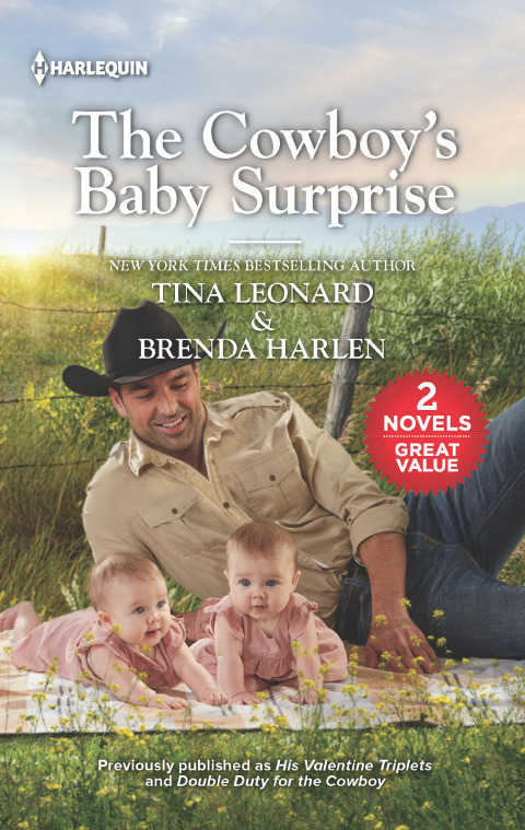 Cover image for book The Cowboy's Baby Surprise
