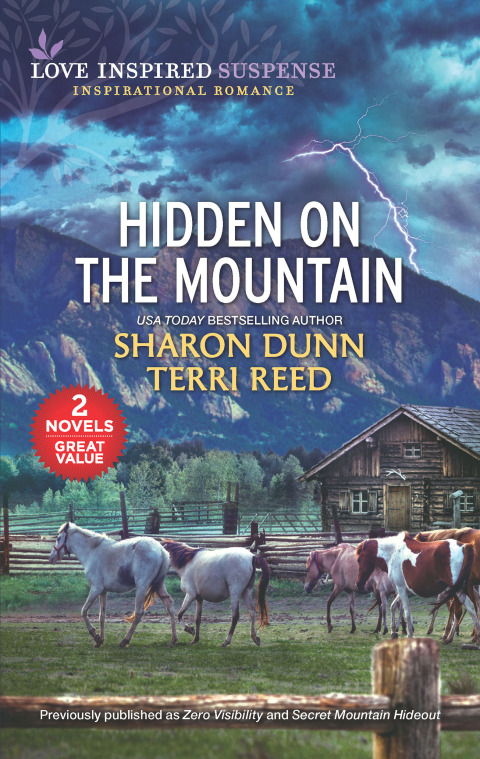 Cover image for book Hidden on the Mountain
