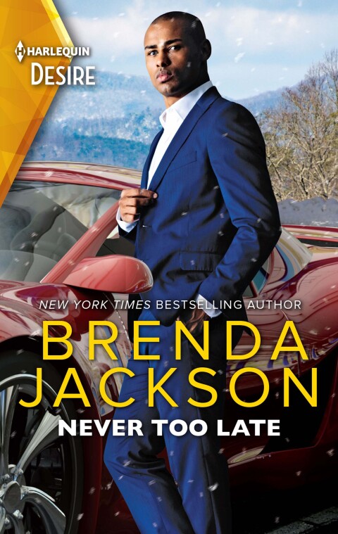 Cover image for book Never Too Late