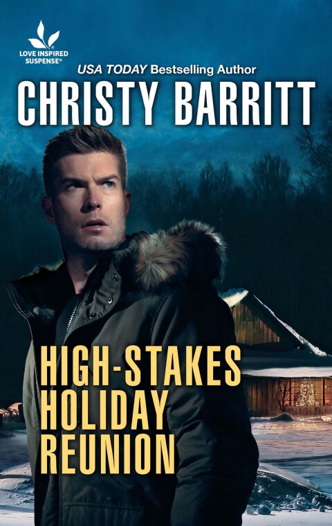 Cover image for book High-Stakes Holiday Reunion
