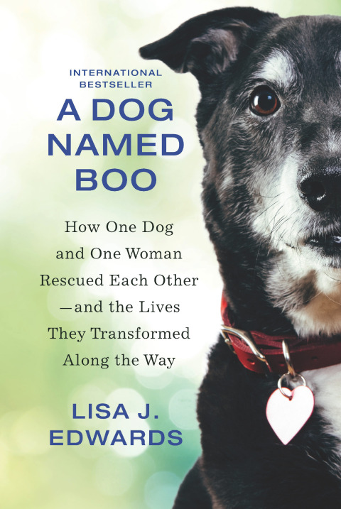 Cover image for book A Dog Named Boo