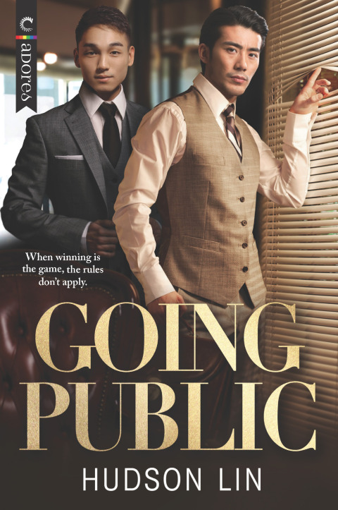 Cover image for book Going Public