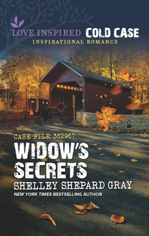 Cover image for book Widow's Secrets