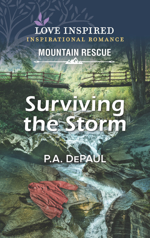 Cover image for book Surviving the Storm
