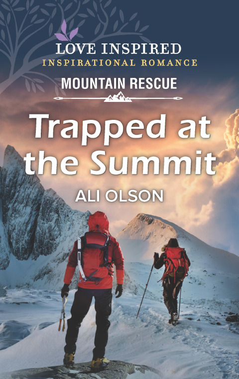 Cover image for book Trapped at the Summit