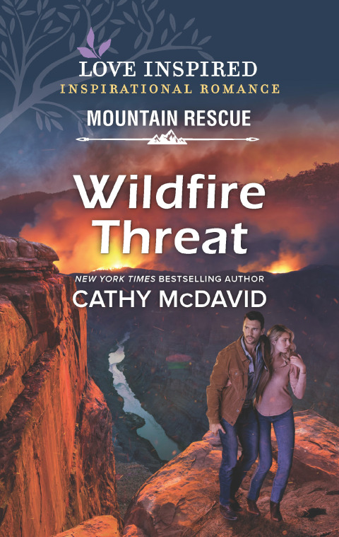 Cover image for book Wildfire Threat