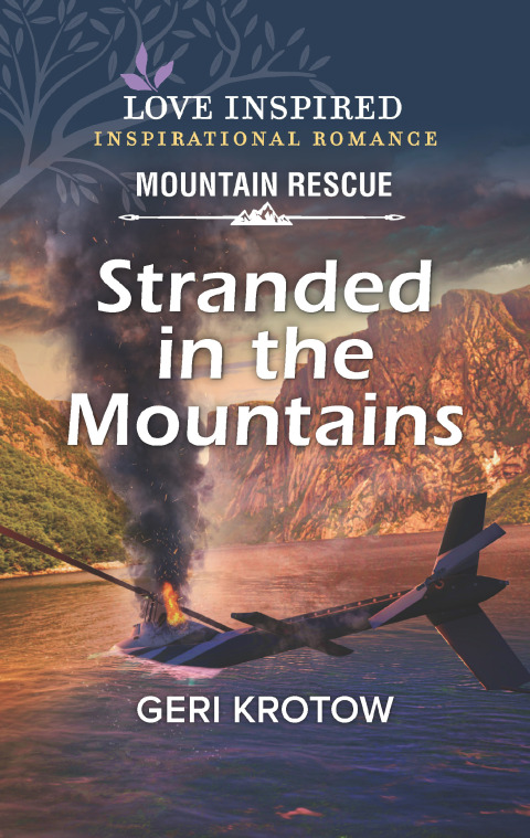 Cover image for book Stranded in the Mountains