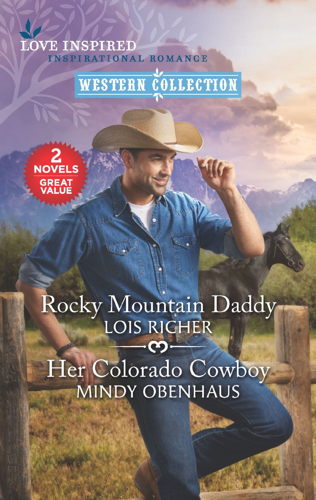 Reflowable Rocky Mountain Daddy and Her Colorado Cowboy; $6.65