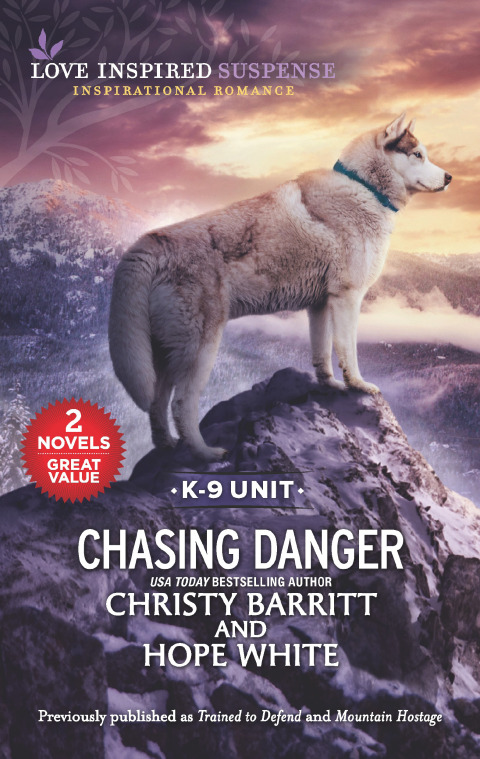 Cover image for book Chasing Danger
