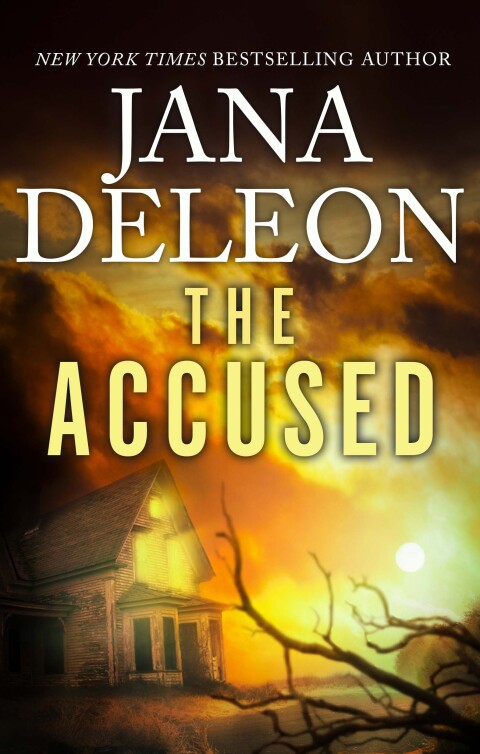 Cover image for book The Accused