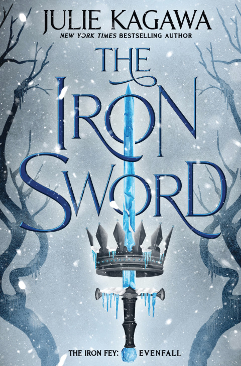 Cover image for book The Iron Sword