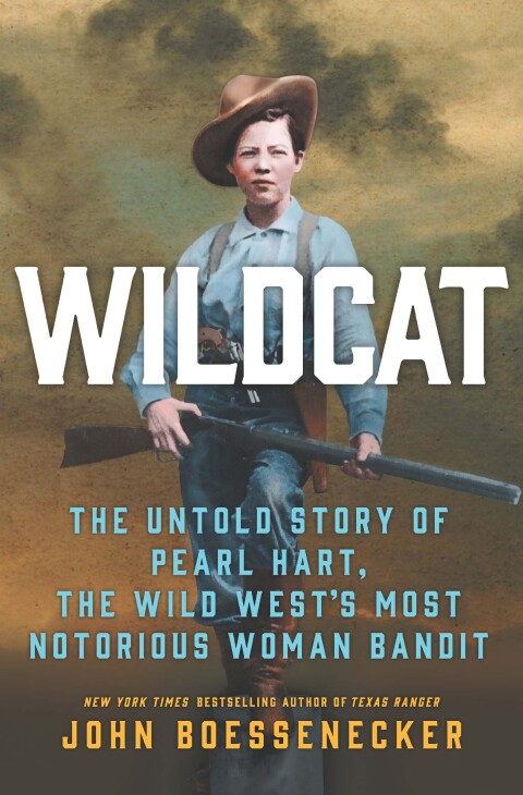 Cover image for book Wildcat