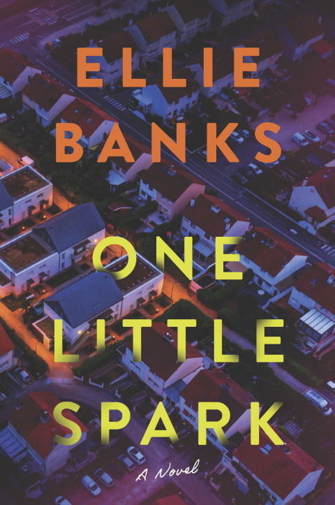 Cover image for book One Little Spark