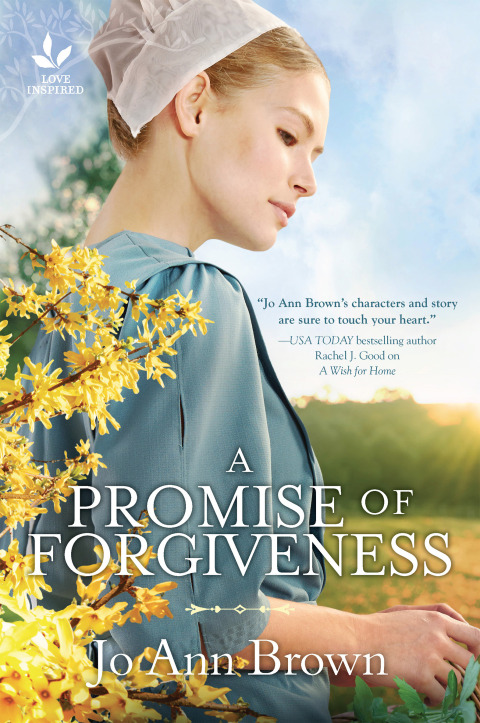 Cover image for book A Promise of Forgiveness