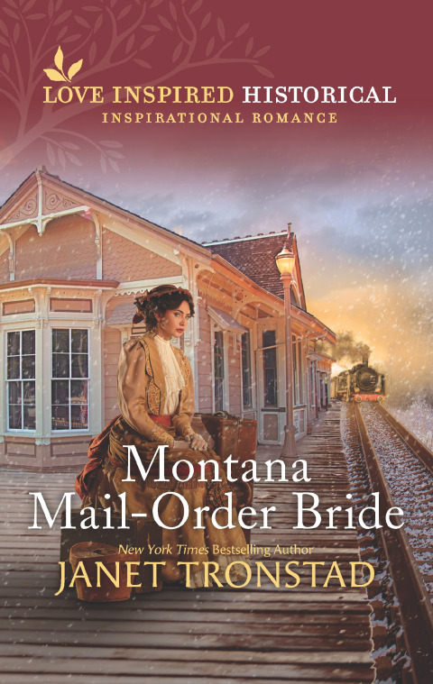 Cover image for book Montana Mail-Order Bride