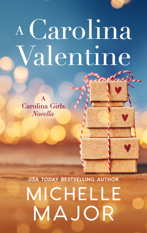 Cover image for book A Carolina Valentine
