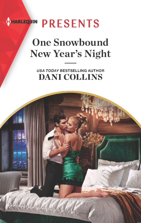 Cover image for book One Snowbound New Year's Night