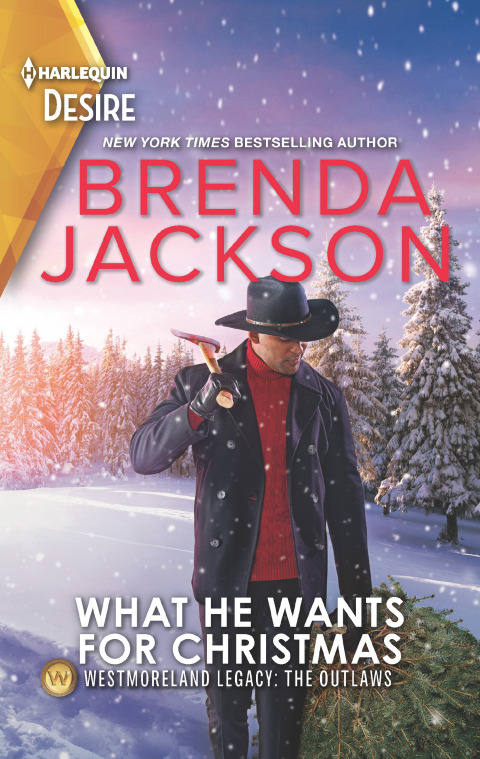 Cover image for book What He Wants for Christmas