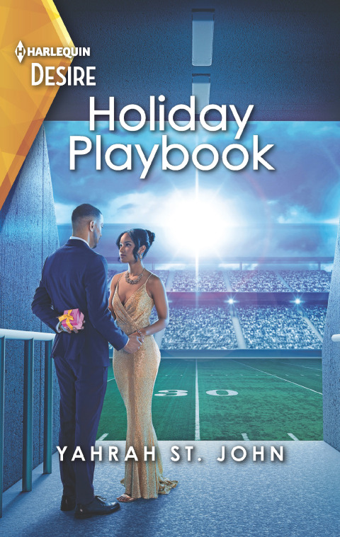 Cover image for book Holiday Playbook