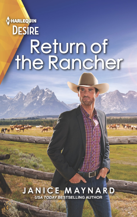 Cover image for book Return of the Rancher