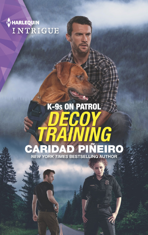 Cover image for book Decoy Training