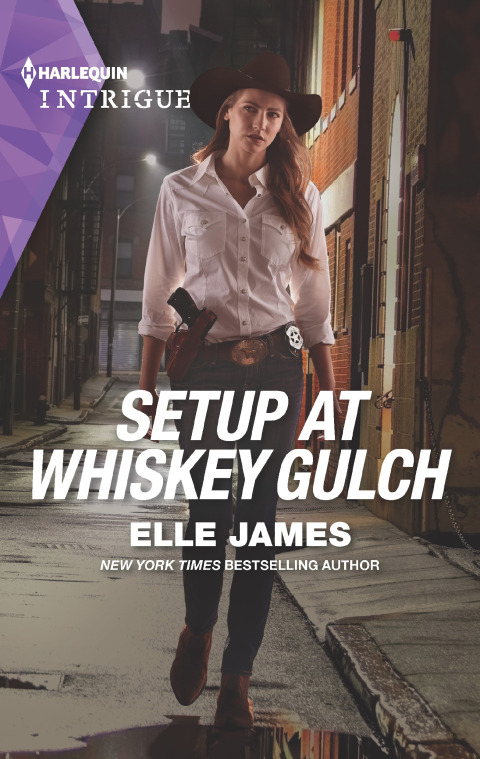 Cover image for book Setup at Whiskey Gulch