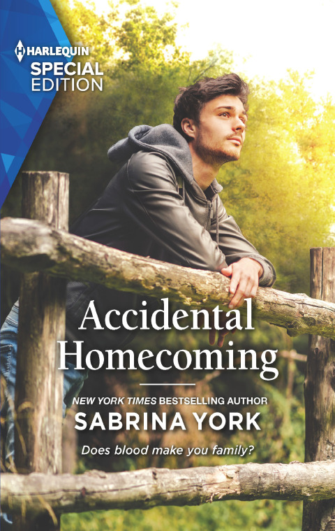 Cover image for book Accidental Homecoming